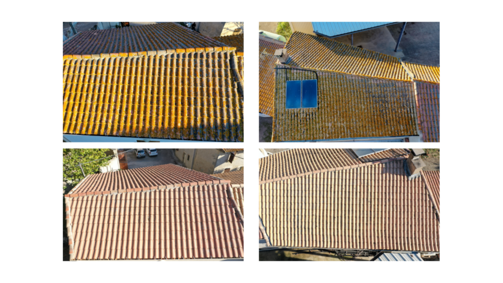 Avant/après nettoyage toiture lychens champignons oranges noirs blancs