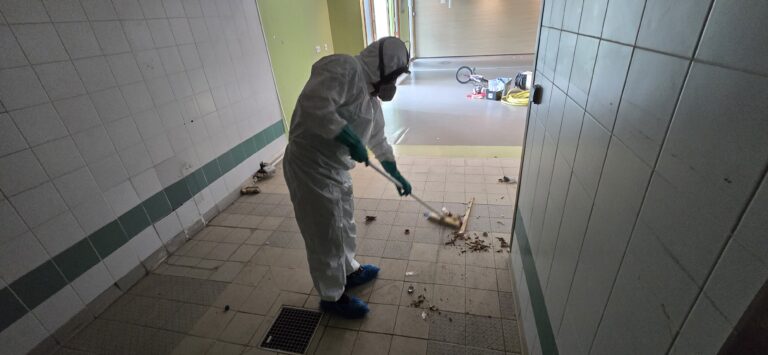 Nettoyage fin de chantier